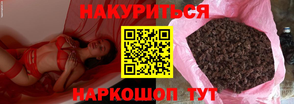 МАРИХУАНА семена  Канабис Bruce Banner  Канабис ГИДРОПОН  Вход с VPN  Калуга 